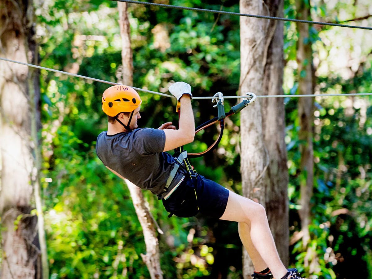 TreeTop Challenge Gold Coast Currumbin